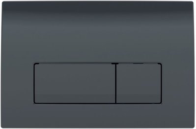 Кнопка зливу для інсталяції GEBERIT Delta50 пластикова подвійна глянцева чорна 115.119.DW.1 115.119.DW.1 фото