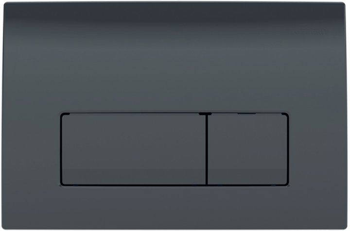 Кнопка зливу для інсталяції GEBERIT Delta50 пластикова подвійна глянцева чорна 115.119.DW.1 115.119.DW.1 фото
