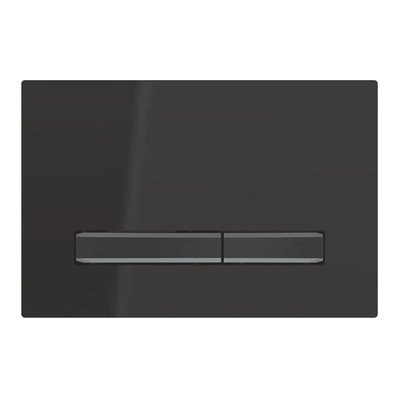 Кнопка слива для инсталляции GEBERIT Sigma50 металлическая двойная глянцевая черная 115.671.DW.2 115.671.DW.2 фото
